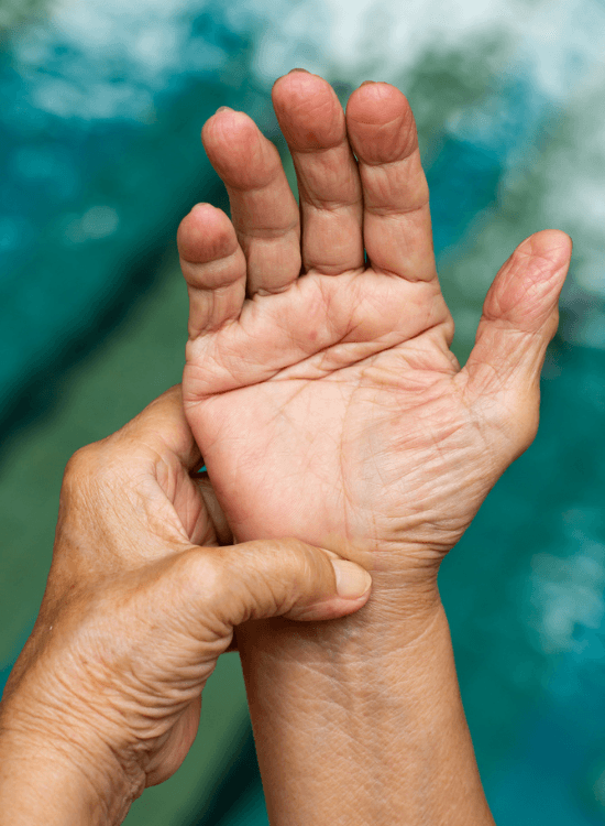 Hemp Seed Oil Capsules - Hemp Connect NZ